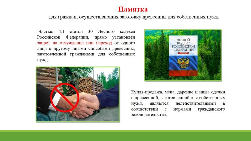 Гражданам, осуществляющим заготовку древесины для собственных нужд в Алтайском крае