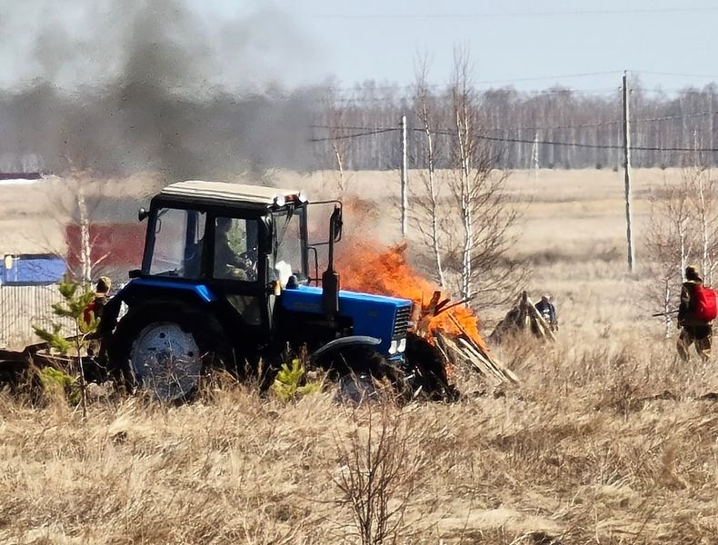 В Курганской области введен запрет на посещение лесов